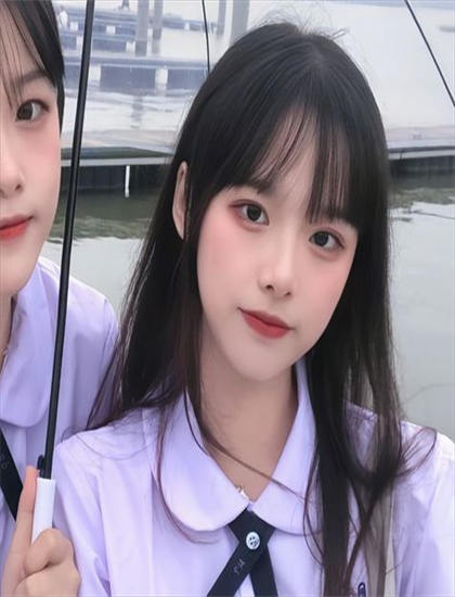 蓝光原盘：《不落的太阳》热门评价对比感人至深的：专业影评与观众口碑差异