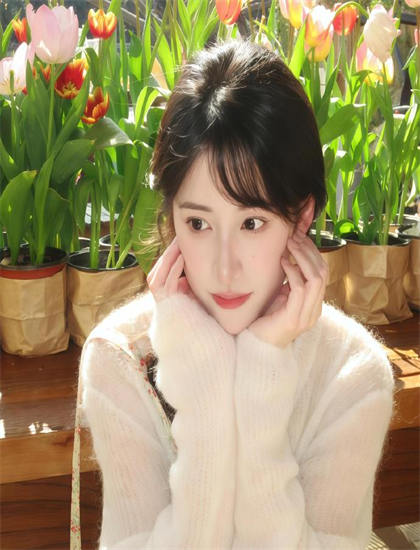 少帅的小娇妻和其他作品相比如何？对比分析与评价，收视第一